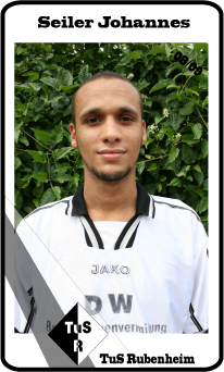panini-seilerjohannes